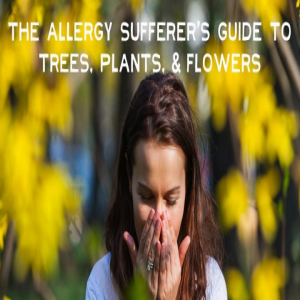 راهنمای مبتلایان به آلرژی برای درختان ، گیاهان و گل ها
