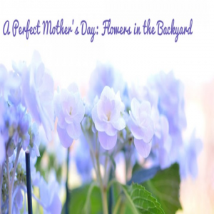 یک روز کامل مادر : گل هایی در حیاط خانه