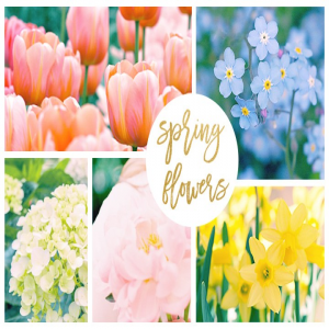 42 گل بهاری با الهام از رنگ های پنتون سال