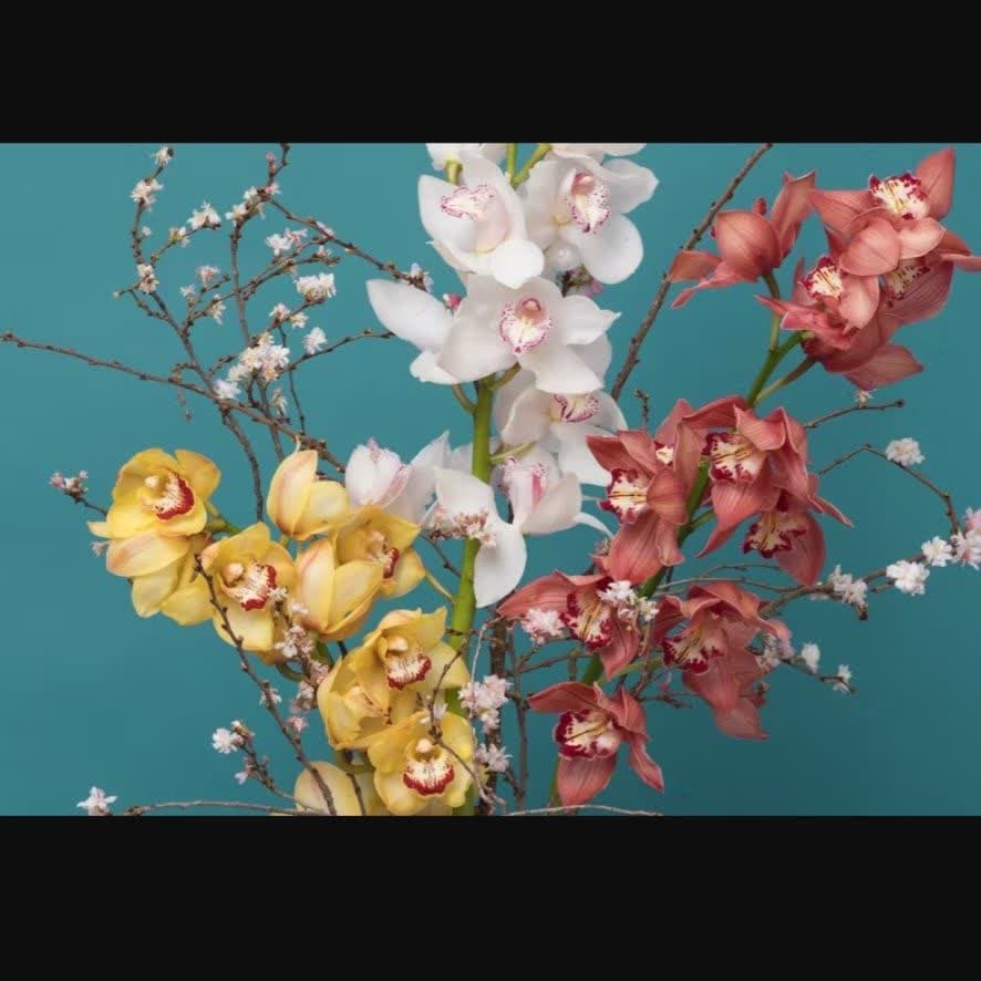 5 جایگزین برای گل رز در روز ولنتاین