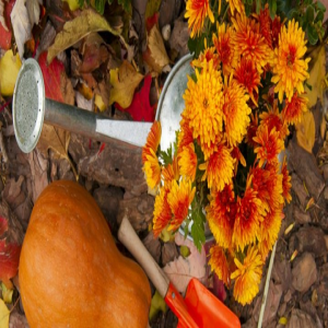 نکات باغبانی فصل سرد: نحوه کاشت برای پاییز
